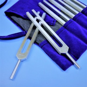 Fibonacci Tuning Forks